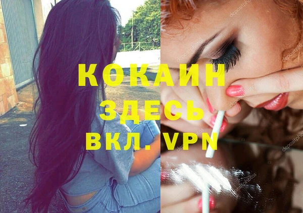 spice Магас