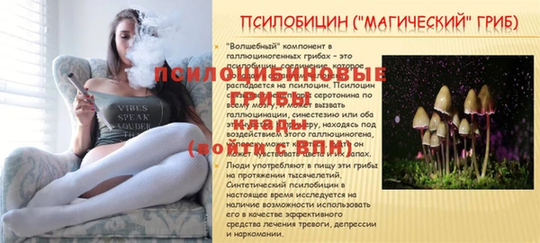 молекула духа Майский