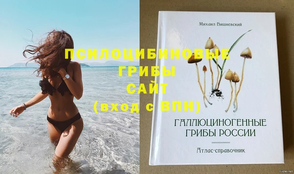 молекула духа Майский