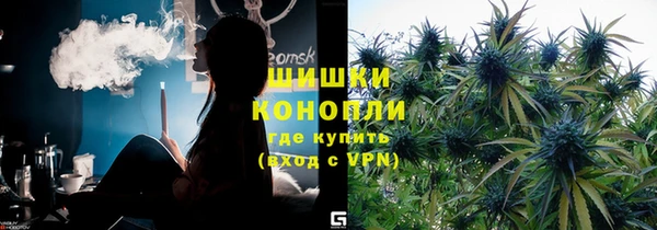 молекула духа Майский