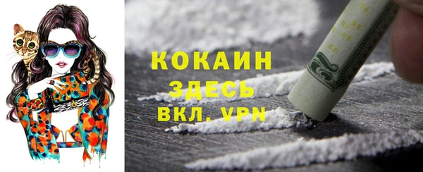 spice Магас