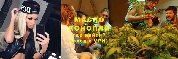 молекула духа Майский